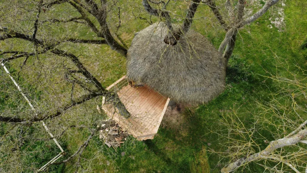 Château de Lez-Eaux - Les Dam’Oiseaux 