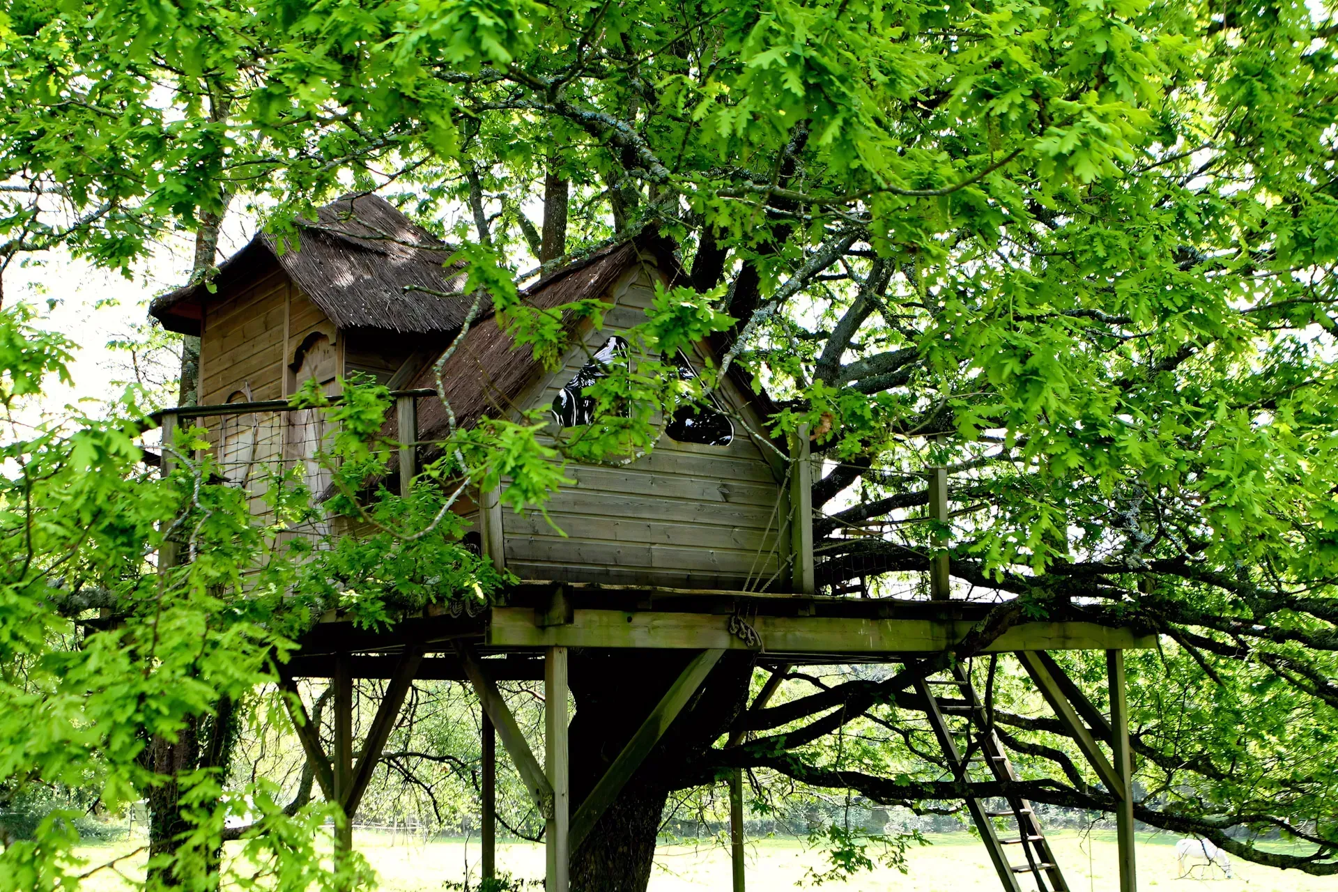 Dihan Évasion La Cabane perchée Heol - Morbihan