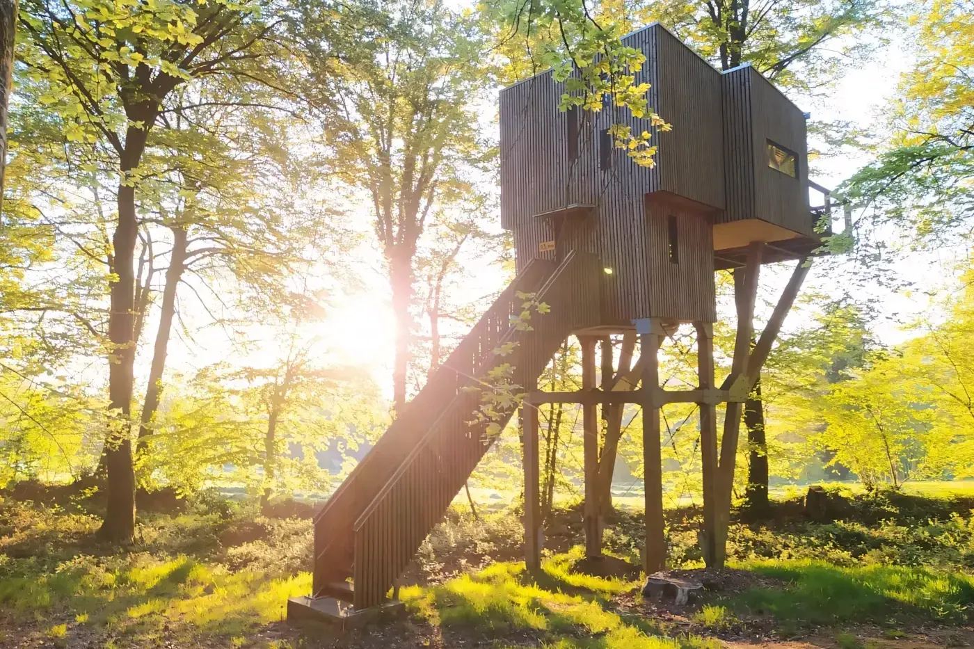 L’Étape en Forêt - Cabane Spa dans les arbres