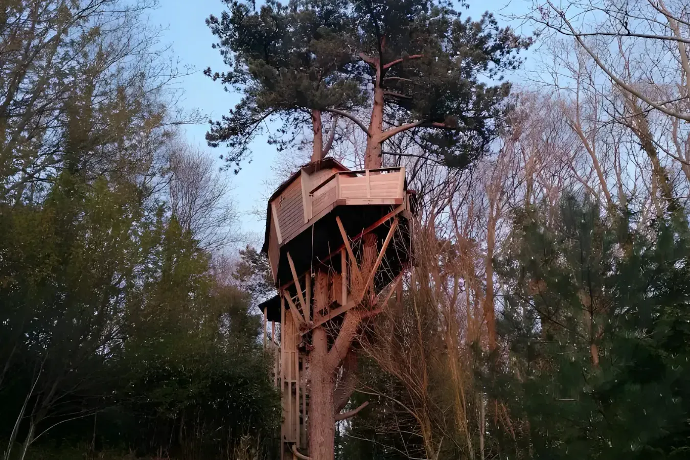 Cabane Sherwood Tree Étretat 